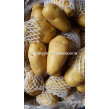 2015 buenas patatas amarillas esféricas de Yunnan para la venta